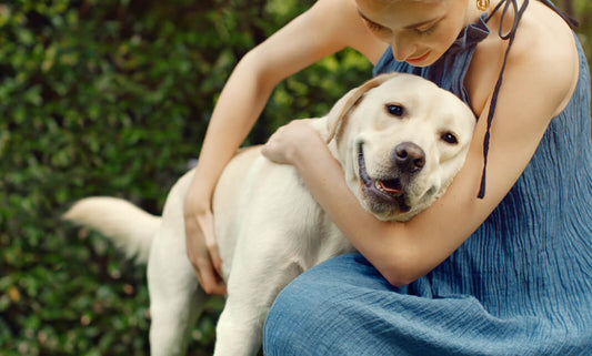 Are my dog's farts normal or a smelly sign of trouble?