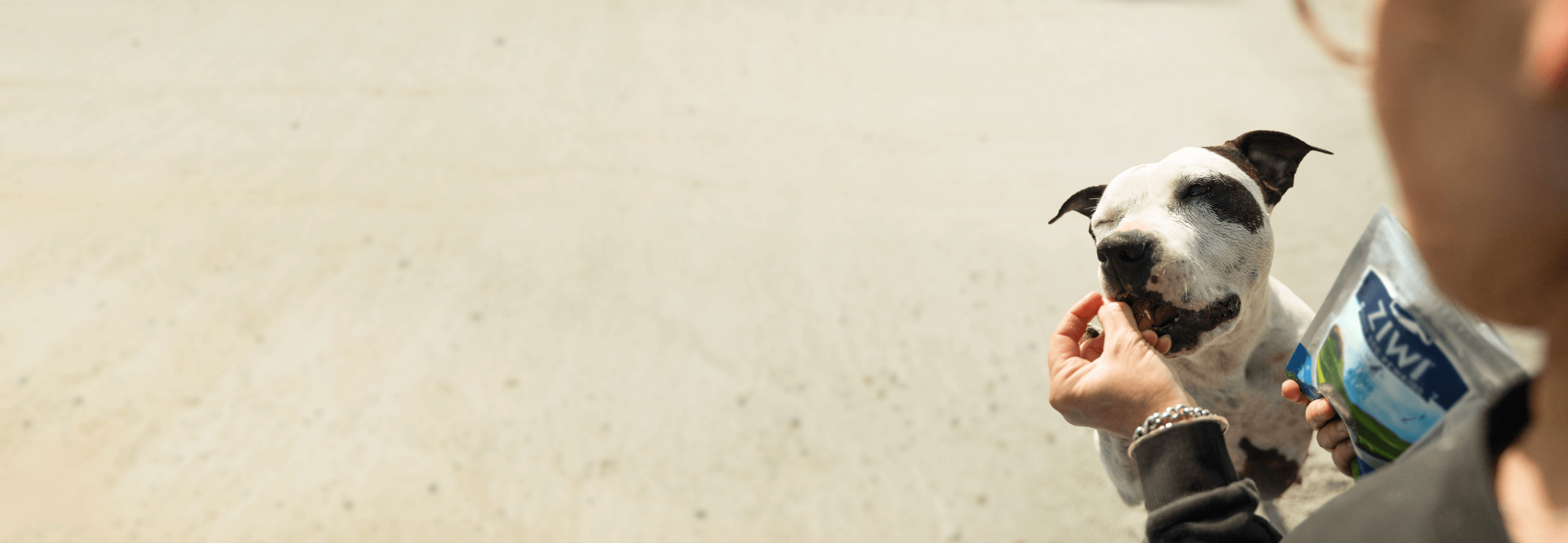 Ziwi good dog sales rewards