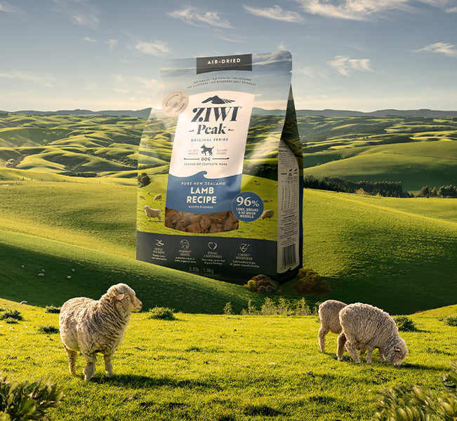 Air-dried Lamb Dog_651x600.jpg