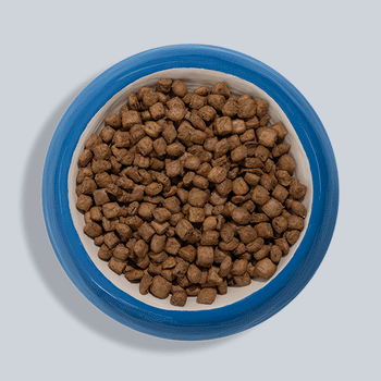 Build-Your-Bowl-Steam-Dried-&-Air-Dried-Dog---Animated-for-Web---600-x-600-Light-Blue.gif