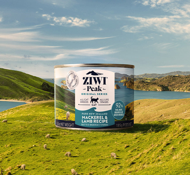Canned_Mackeral Lamb Cat 185g_651x600.jpg