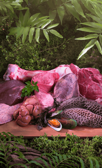ziwi-beef-ingredients.png