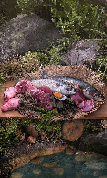 ziwi-mackerel-and-lamb-ingredients.png