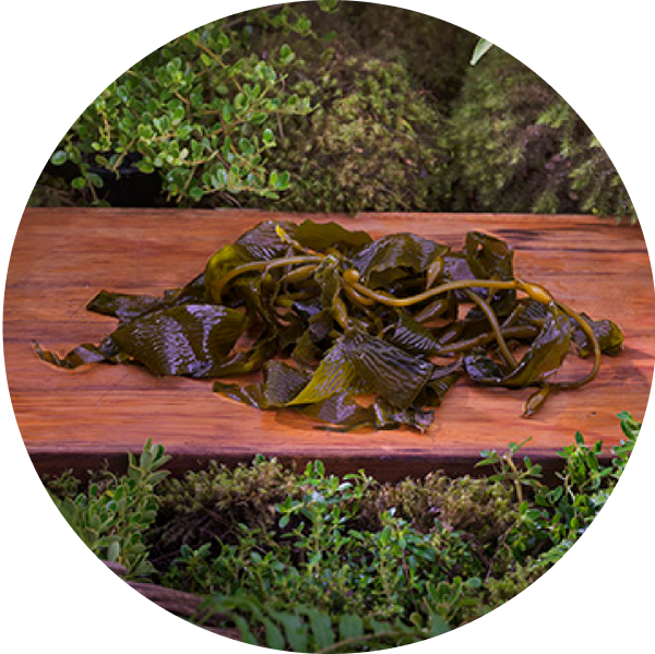 ziwi-superfoods-organic-kelp.png