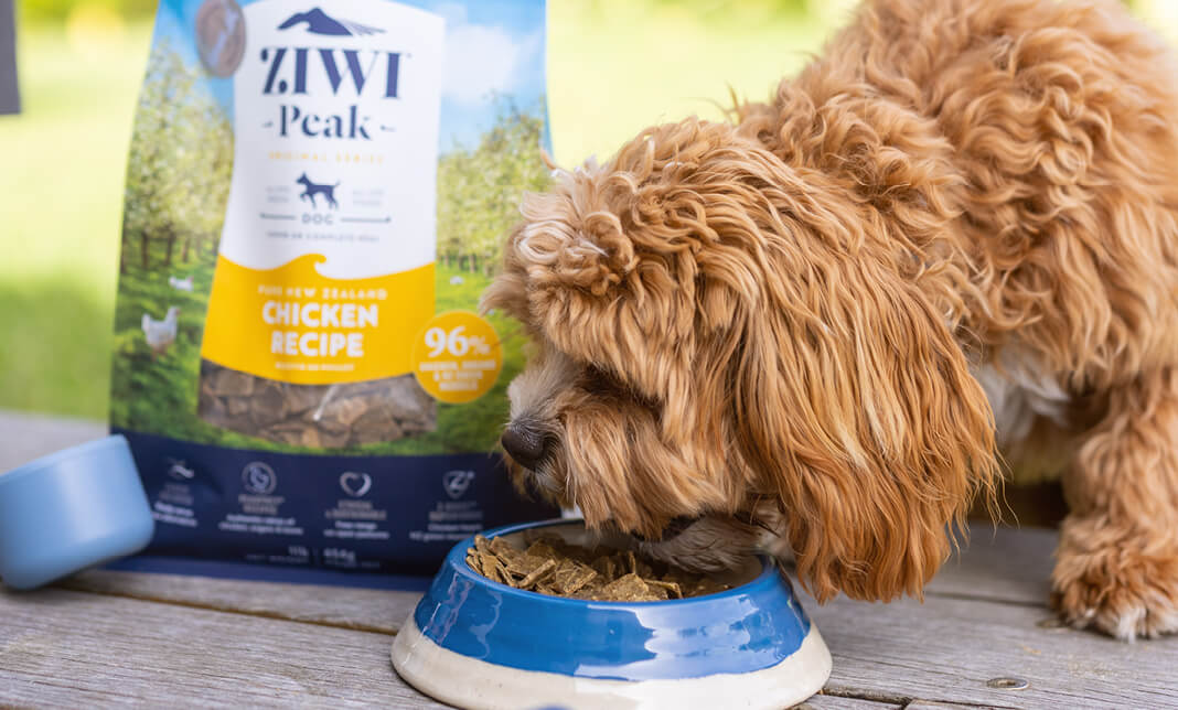 What s the best dog food for weight loss ZIWI ZIWI Global