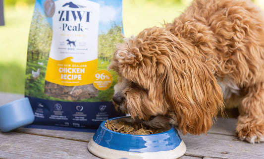 The best dog food for weight loss? It’s been around for centuries
