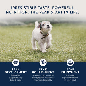 Original Air-Dried Chicken & Lamb Recipe for puppies | Air-dried food for dogs