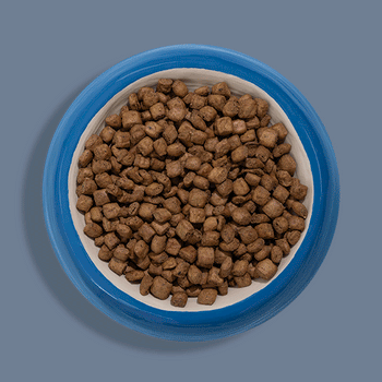 Build-Your-Bowl-Steam-Dried-&-Air-Dried-Dog---Animated-for-Web---600-x-600-Blue-III.gif