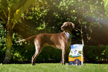 Dog standing on grass with a bag of ZIWI dog food in the foreground
