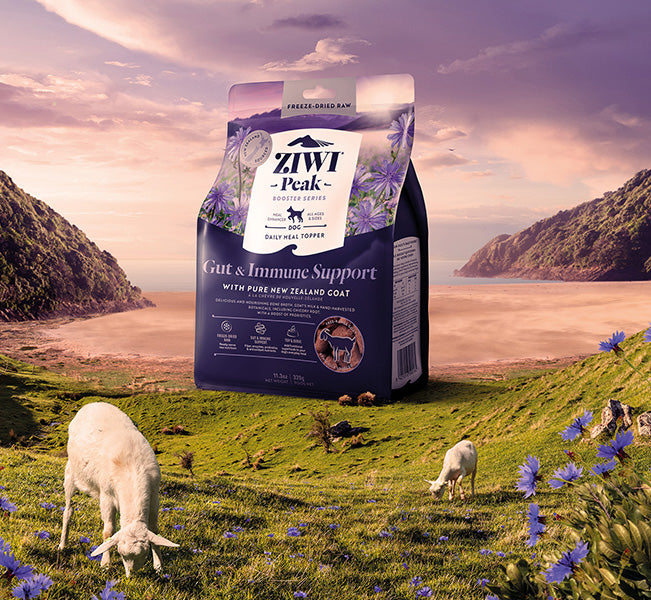 Freezedried Boosters for Cats ZIWI® ZIWI® Global