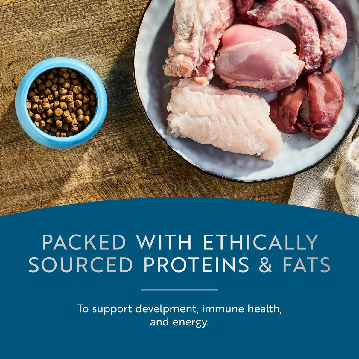 Steam & Dried Cage-free Chicken with Southern Blue Whiting Recipe for kittens
