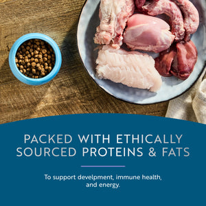 Steam & Dried Cage-free Chicken with Southern Blue Whiting Recipe for kittens | Steam & Dried