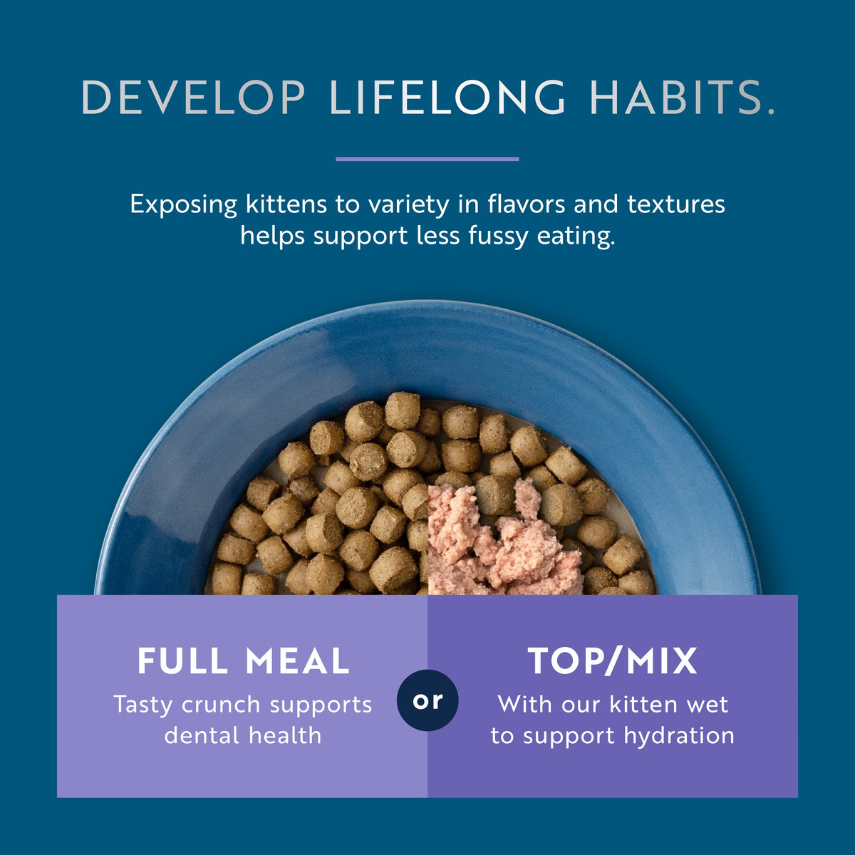 Steam & Dried Cage-free Chicken with Southern Blue Whiting Recipe for kittens