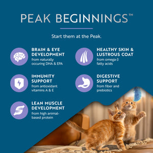 Steam & Dried Cage-free Chicken with Southern Blue Whiting Recipe for kittens | Steam & Dried