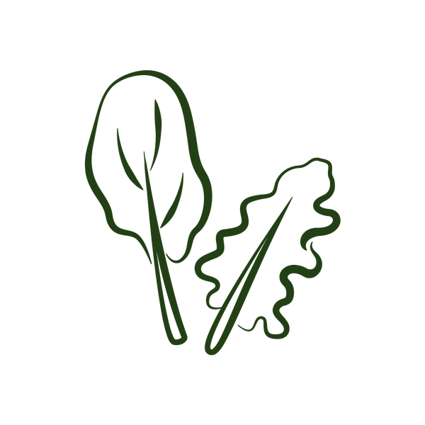 Steam & Dried Illustrations - Green Vegetables_Green.png