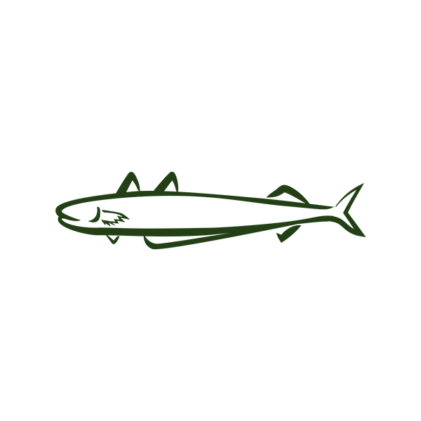 Steam & Dried Illustrations - Southern Blue Whiting_Green.png