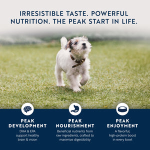 Original Wet Pâté Chicken with Lamb Recipe for puppies | Canned wet food for dogs