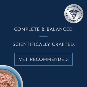 Original Wet Pâté Chicken with Lamb Recipe for puppies | Canned wet food for dogs