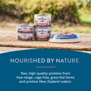 Canned Wet Salmon and Chicken for Cats | Canned wet food for cats