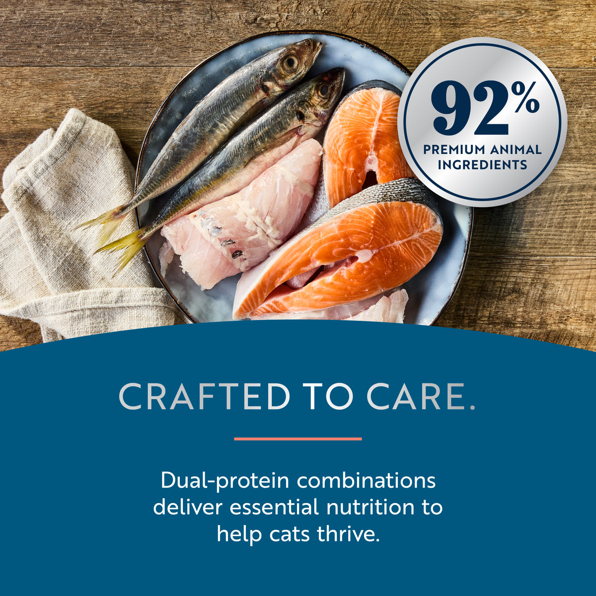 Canned Wet Salmon and Chicken for Cats
