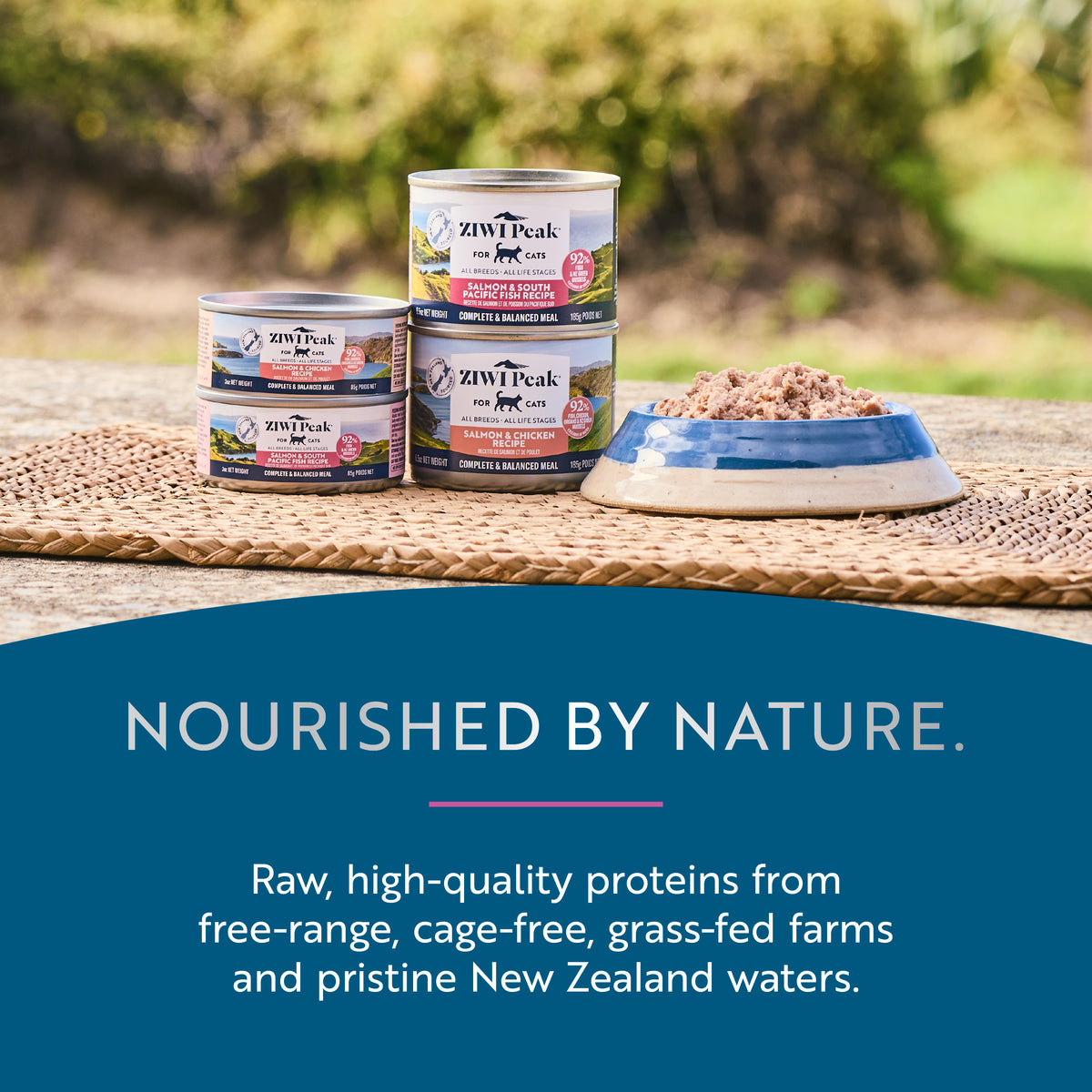 Canned Wet Salmon and South Pacific Fish for Cats