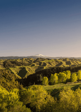 ziwi-farms-and-farmers-region-whanganui-visual.png