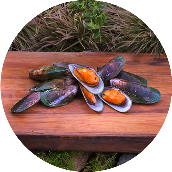 ziwi-superfoods-green-lipped-mussels.png