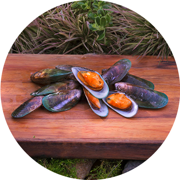ziwi-superfoods-green-lipped-mussels.png