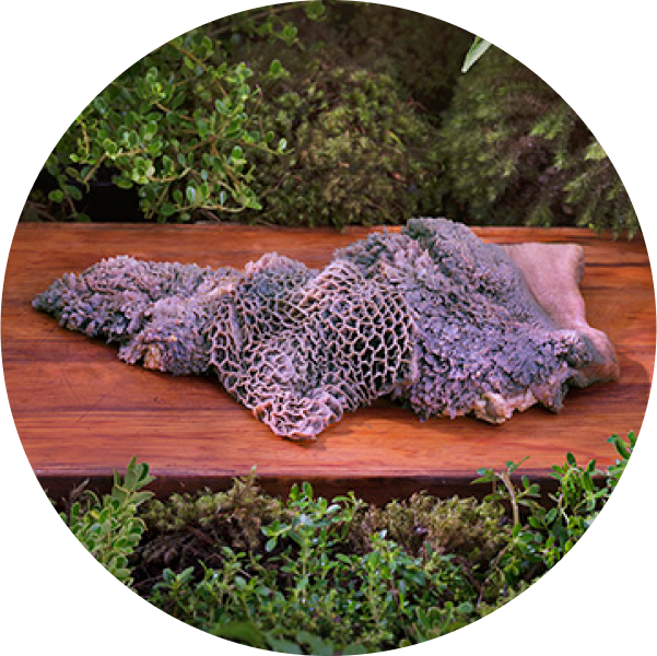 ziwi-superfoods-green-tripe.png